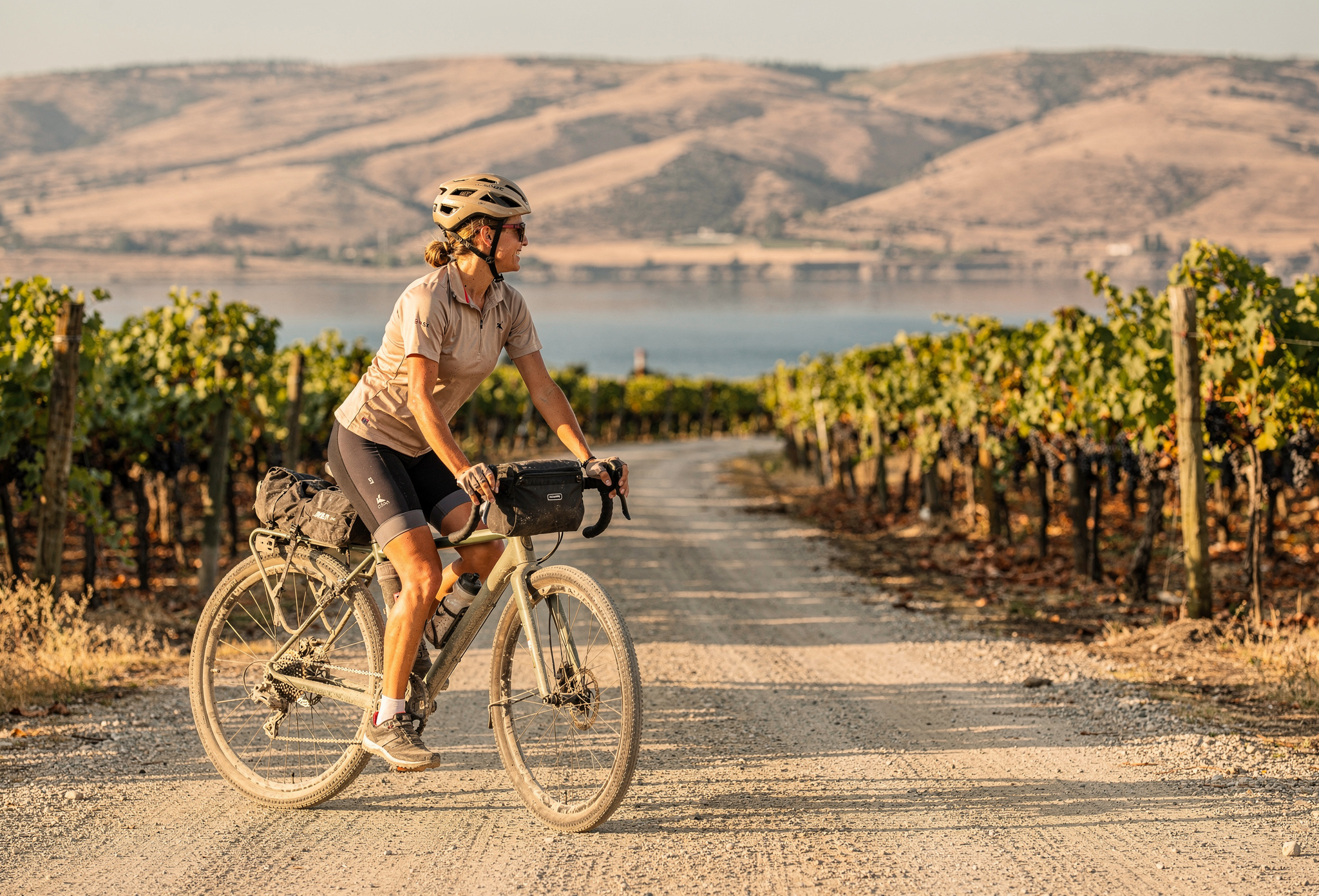 Cyclist riding between sunlit grapevine rows in wine country
